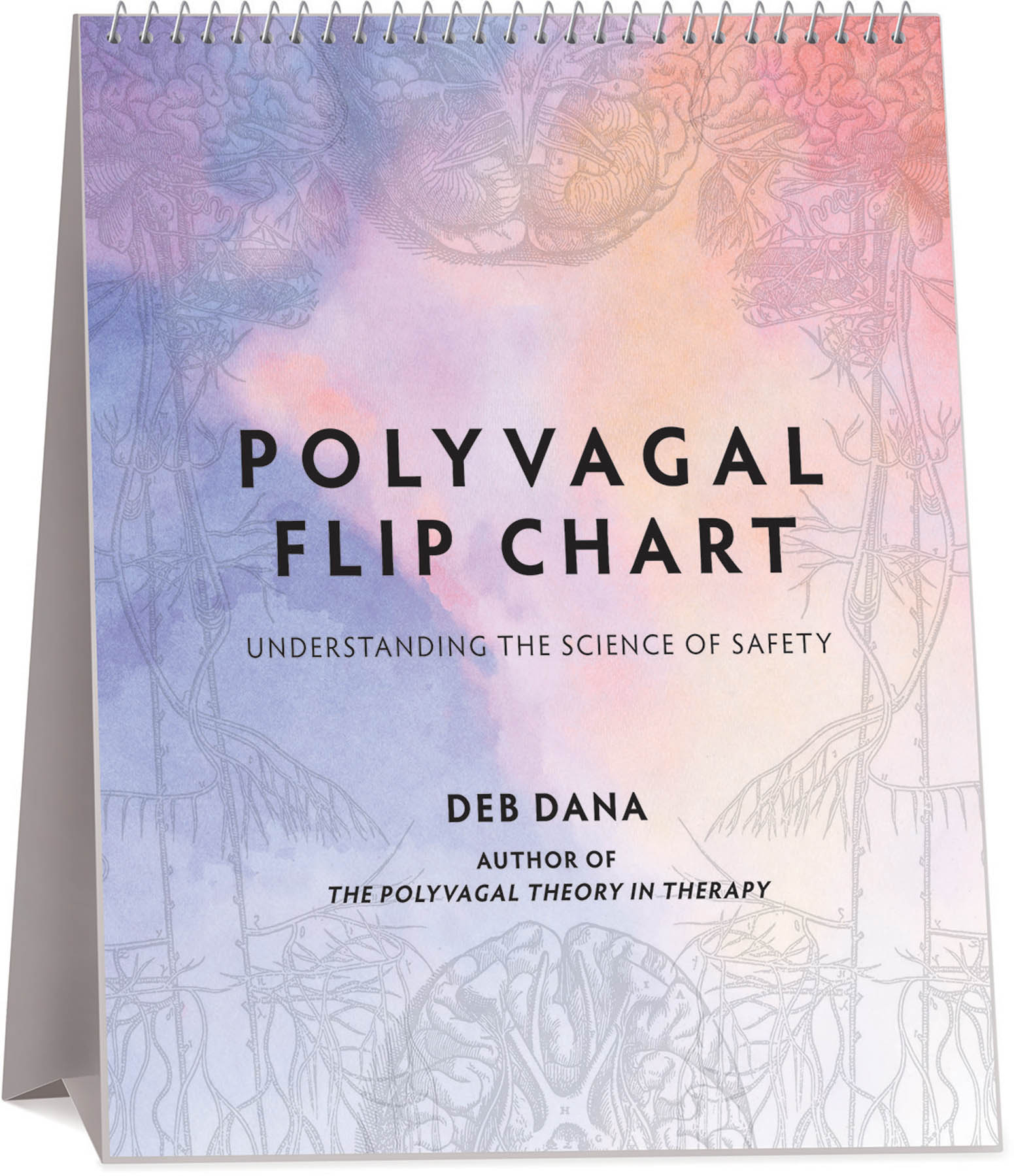 Polyvagal Practices: Anchoring the Self in Safety