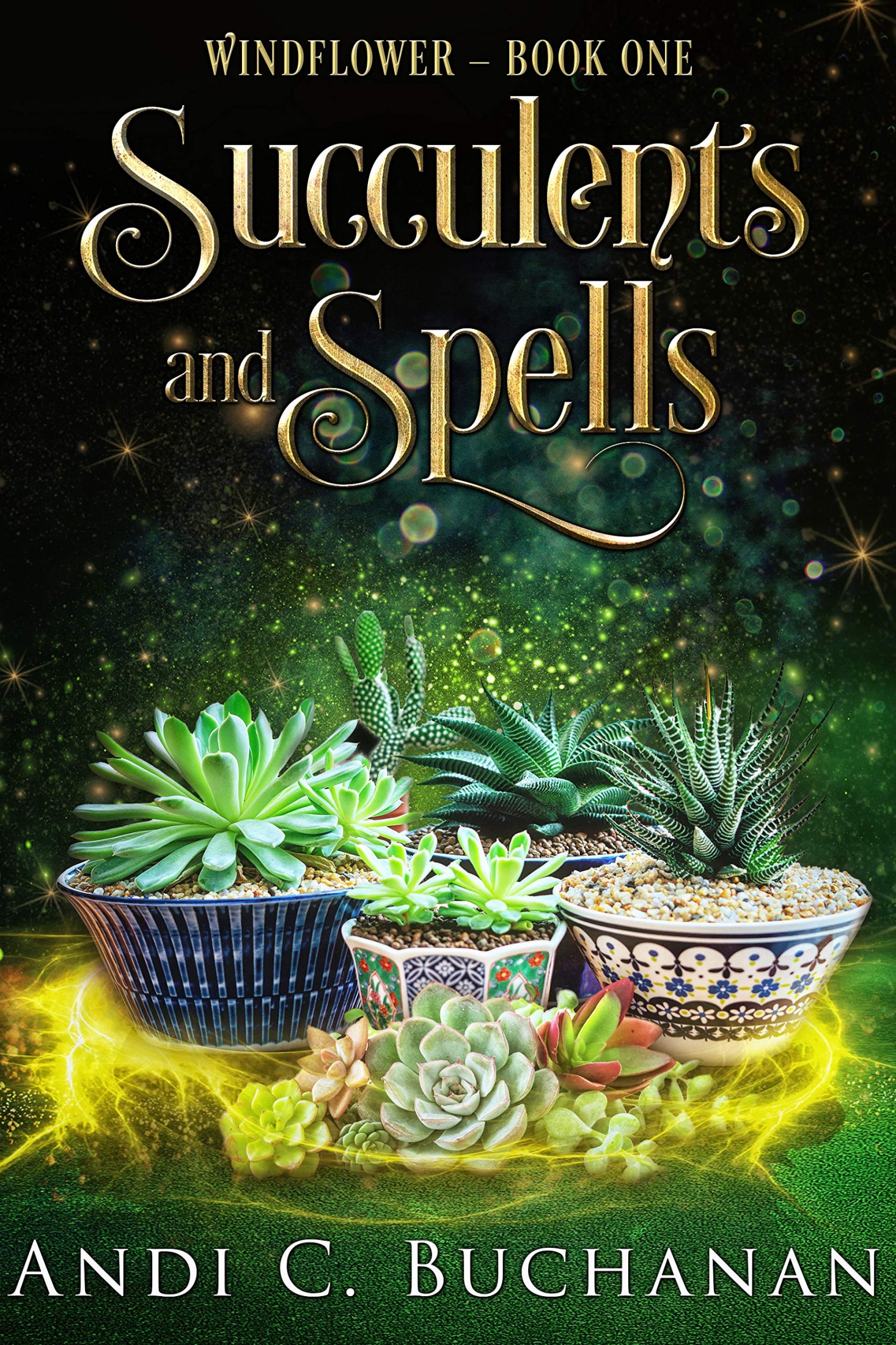 Succulents and Spells