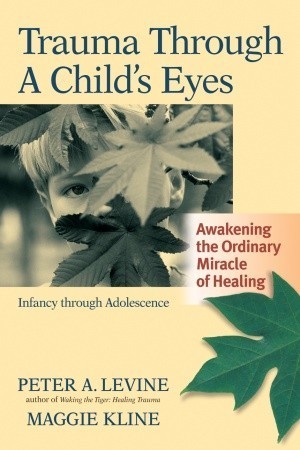 Trauma Through a Child's Eyes 1st (first) edition Text Only