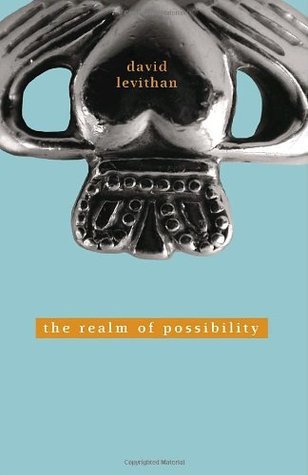 David Levithan / The Realm of Possibility Signed 2004 [Hardcover] Levithan, David