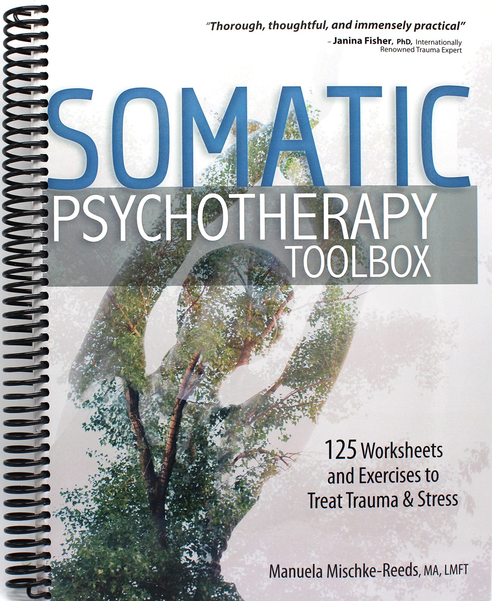 Somatic Psychotherapy Toolbox: 125 Worksheets and Exercises for Trauma & Stress