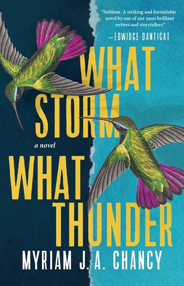 What Storm, What Thunder: A Novel