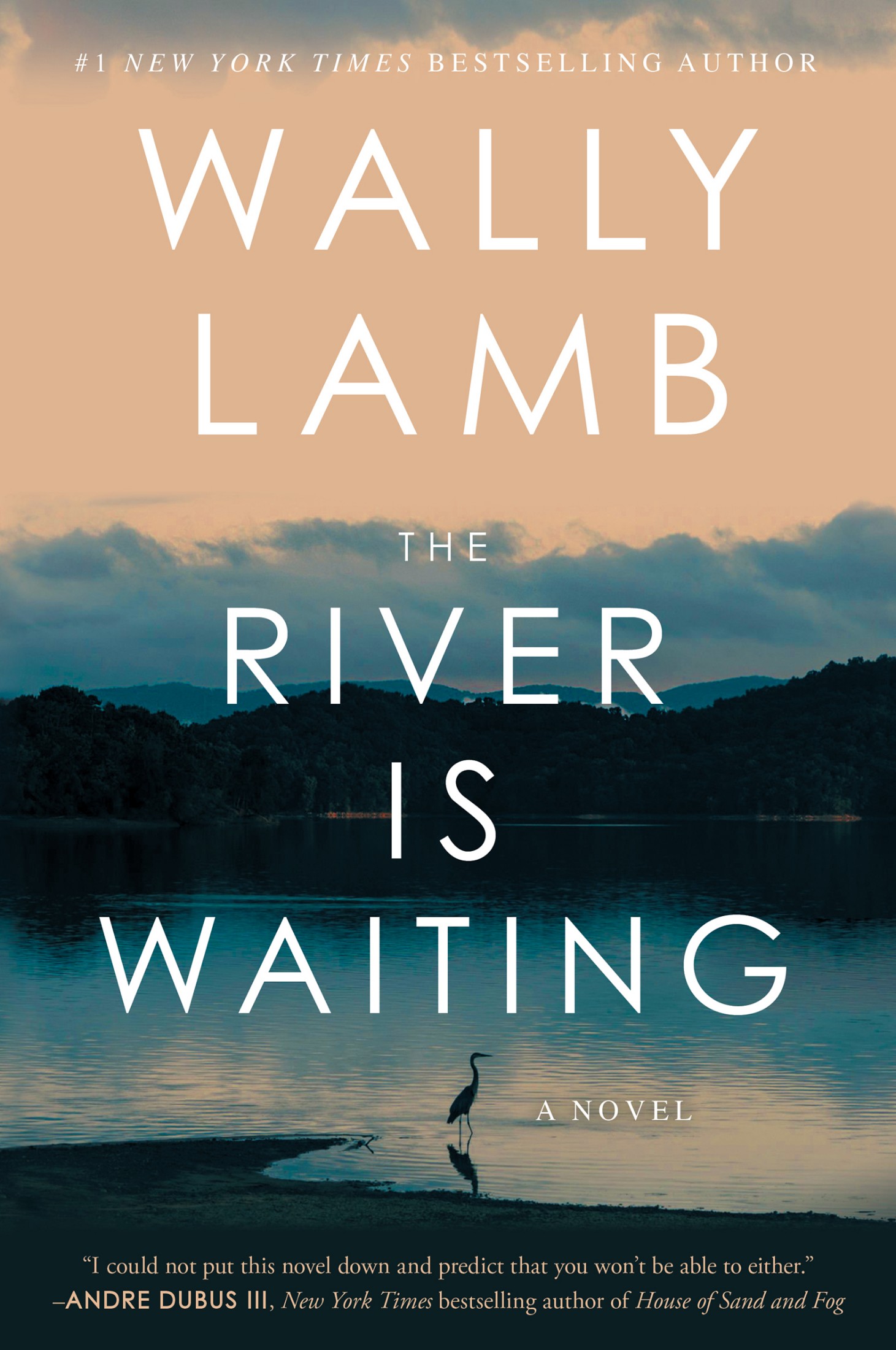 The River Is Waiting (Oprah's Book Club)