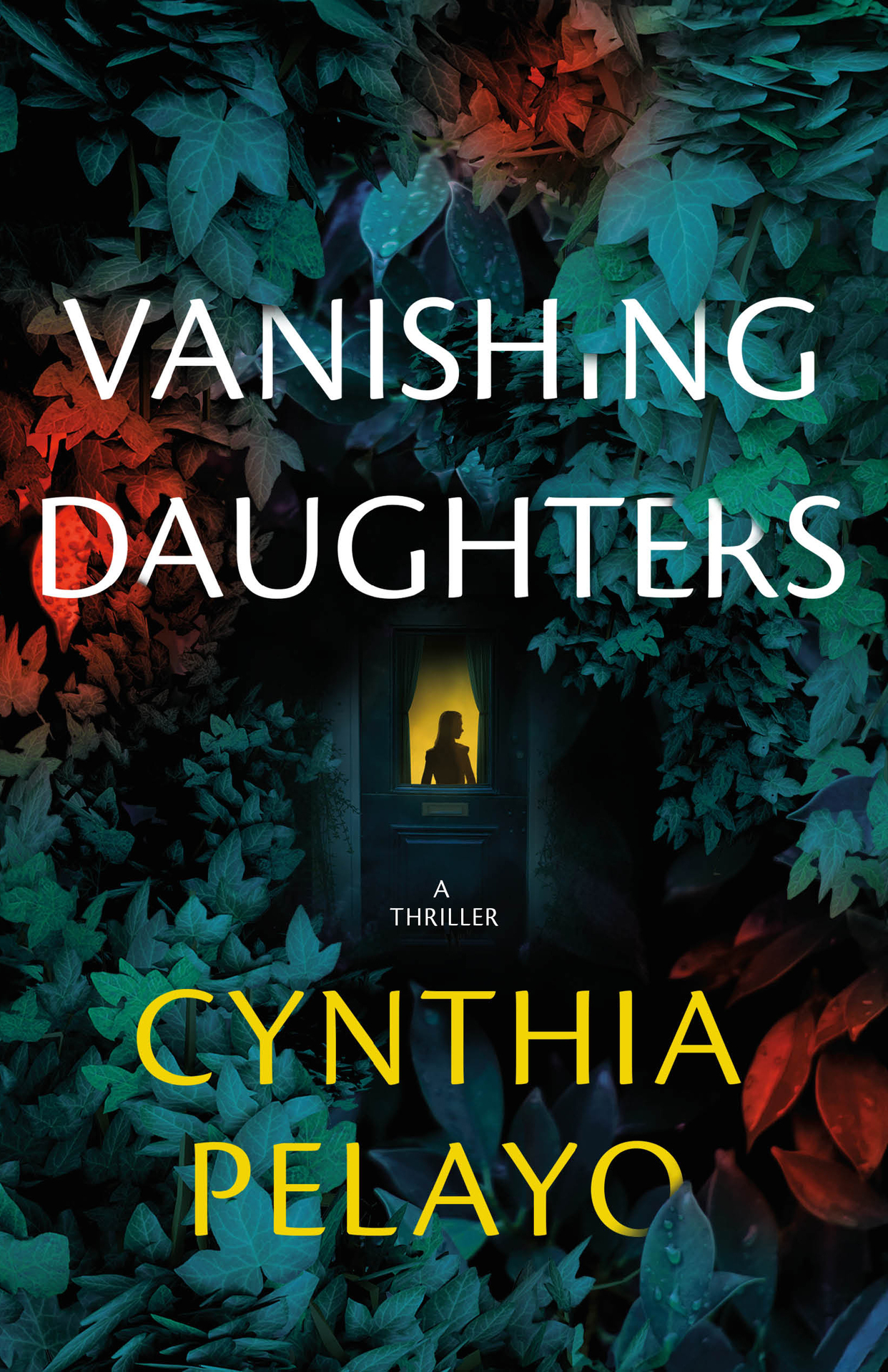 Vanishing Daughters: A Thriller
