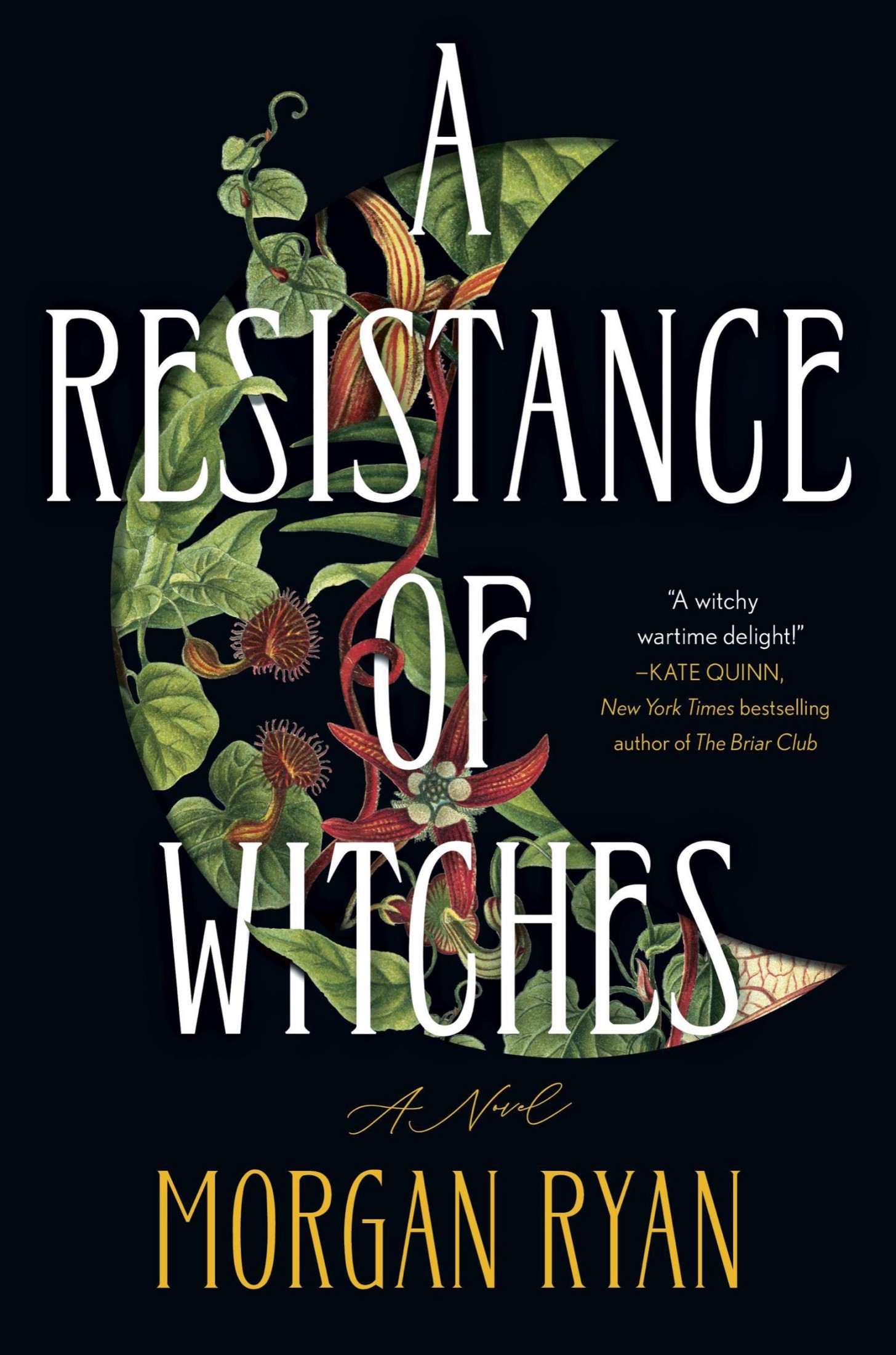 A Resistance of Witches: A Novel