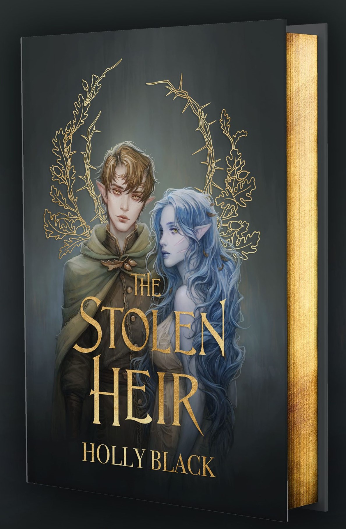 The Stolen Heir