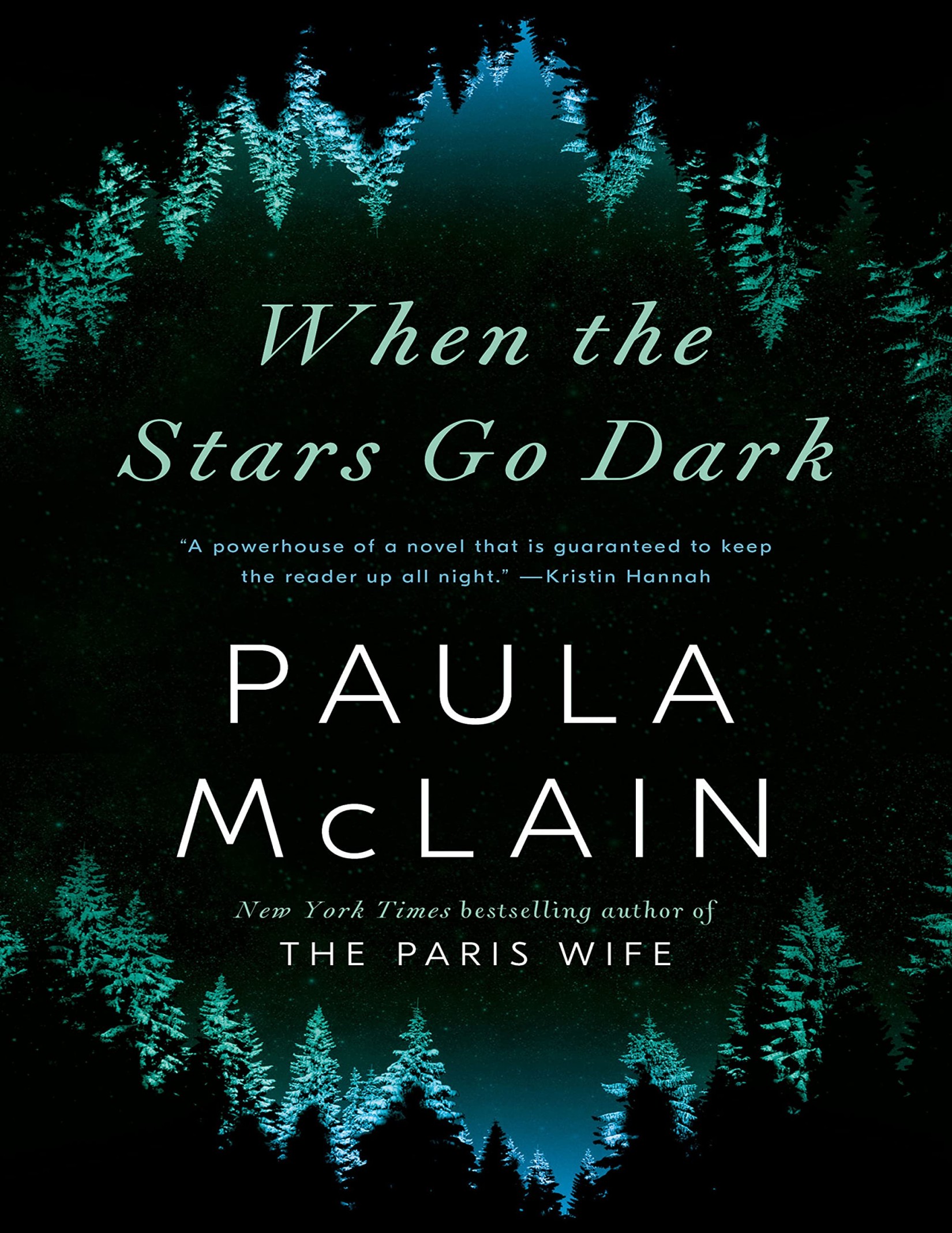 When the Stars Go Dark A Novel